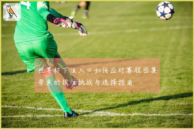 世界杯下注入口如何应对赛程密集带来的投注挑战与选择指南