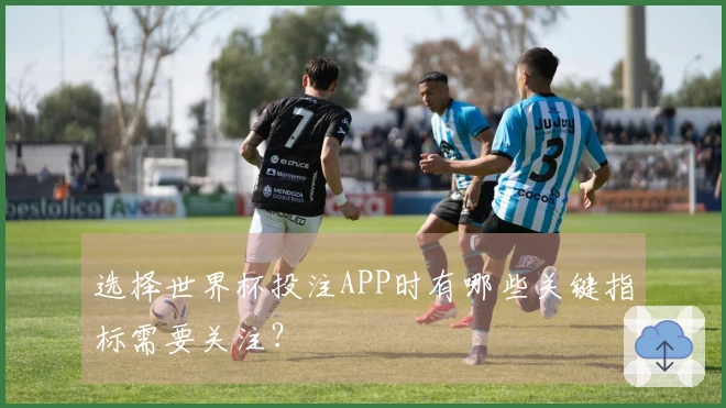 选择世界杯投注APP时有哪些关键指标需要关注？