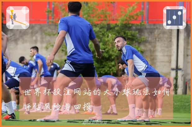 世界杯投注网站的大小球玩法如何评估风险与回报