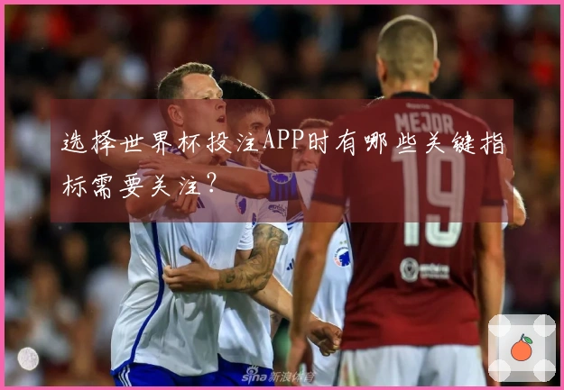 选择世界杯投注APP时有哪些关键指标需要关注？