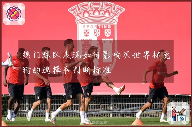 热门球队表现如何影响买世界杯竞猜的选择和判断标准