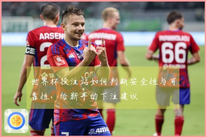 世界杯投注站如何判断安全性与可靠性，给新手的下注建议
