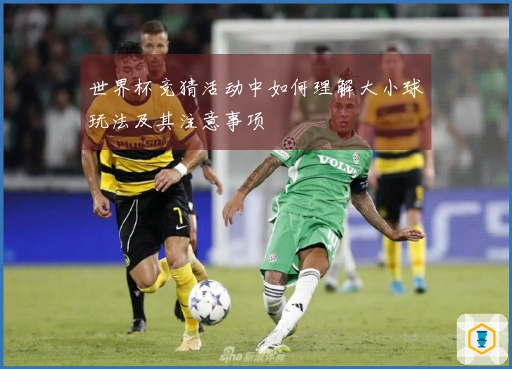 世界杯竞猜活动中如何理解大小球玩法及其注意事项