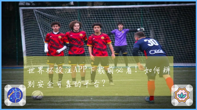世界杯投注APP下载前必看！如何辨别安全可靠的平台？
