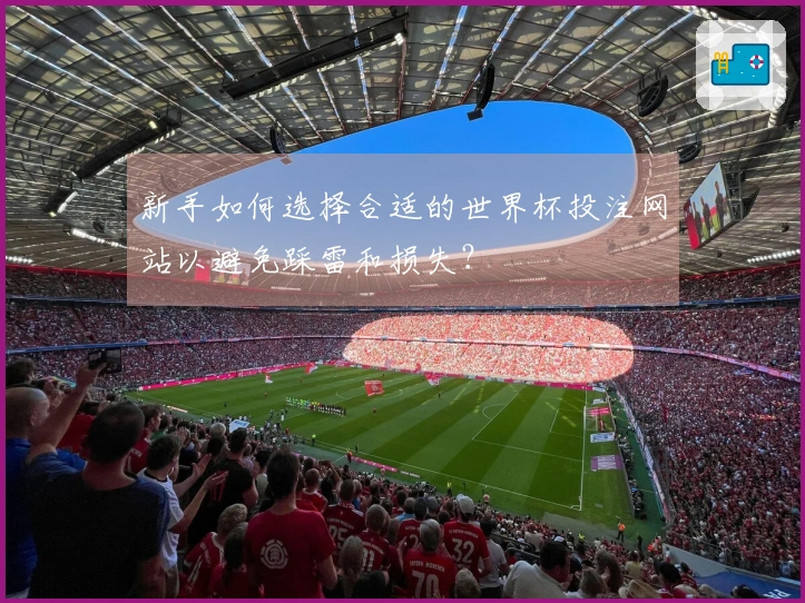 新手如何选择合适的世界杯投注网站以避免踩雷和损失？