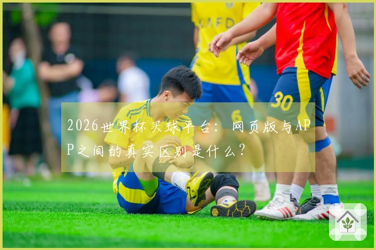 2026世界杯买球平台：网页版与APP之间的真实区别是什么？